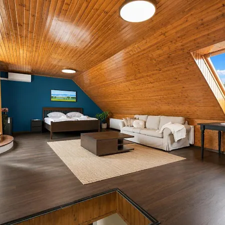 Castle View Rooftop Terrace Penthouse 5br Old Town Апартаменты Братислава